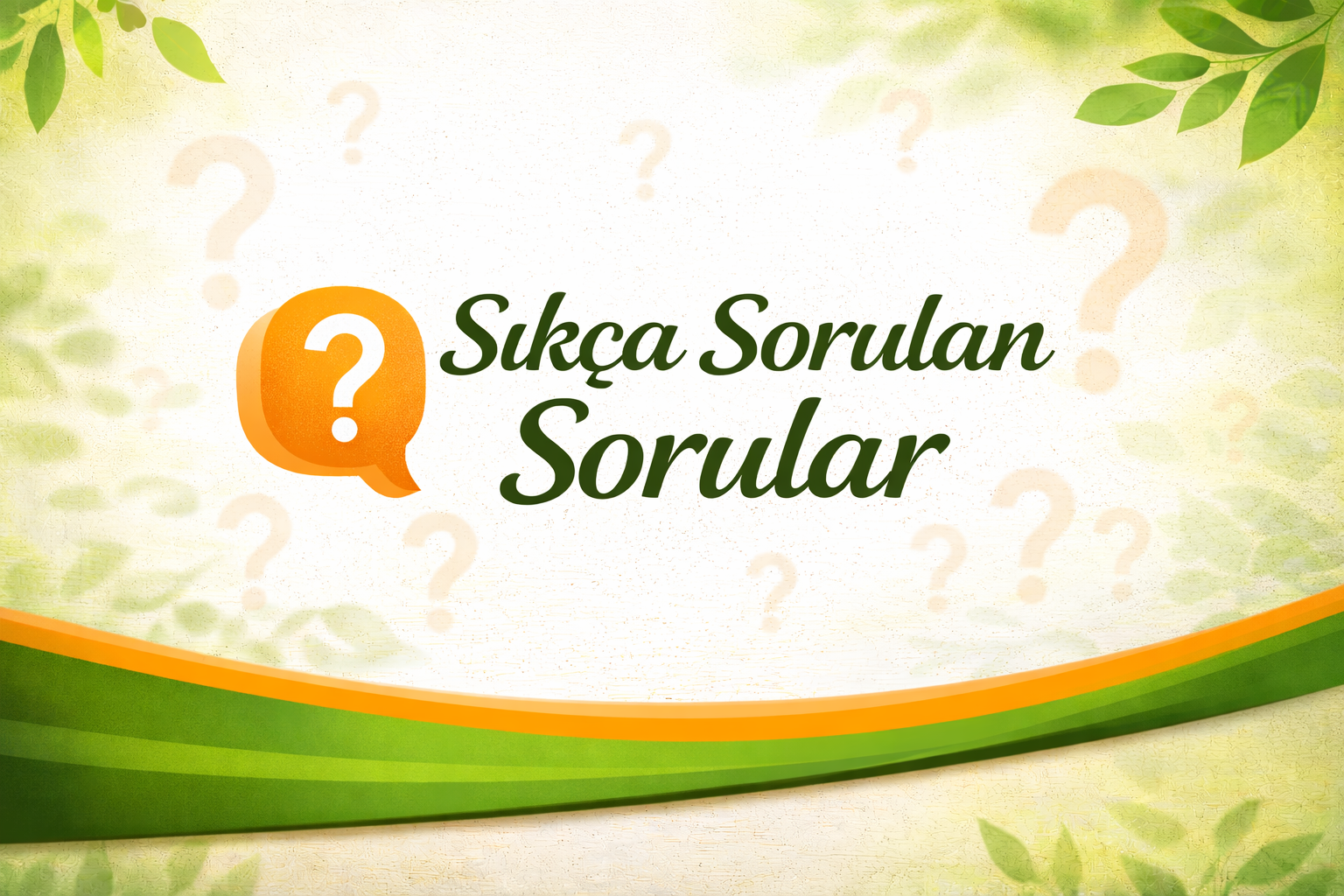 11b21ea9 8754 4987 a922 d22244f75b02